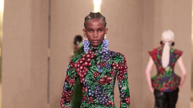 Model 