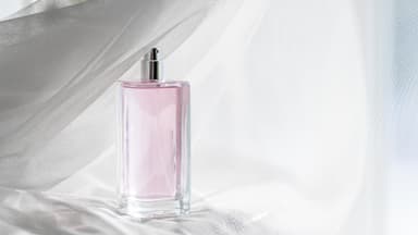 Parfum-Trends