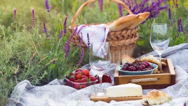 Ein Picknick im Sommer