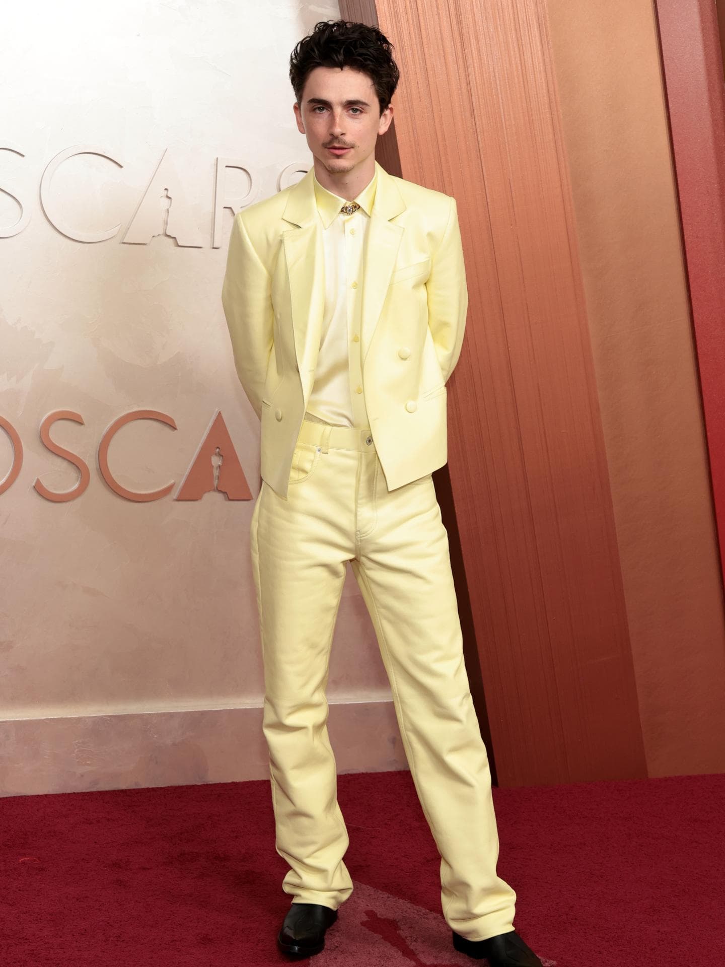 Timothée Chalamet Oscars