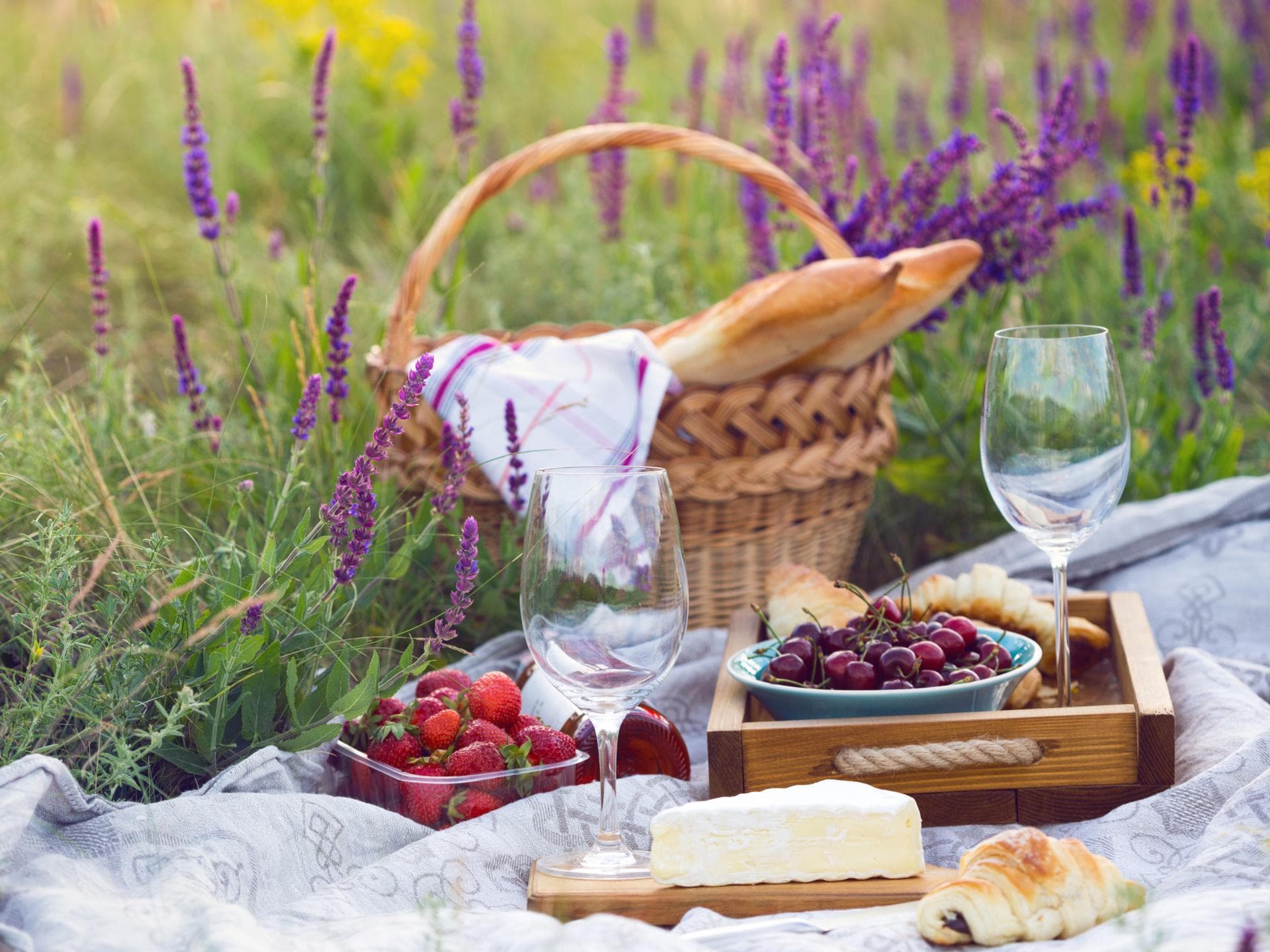 Ein Picknick im Sommer