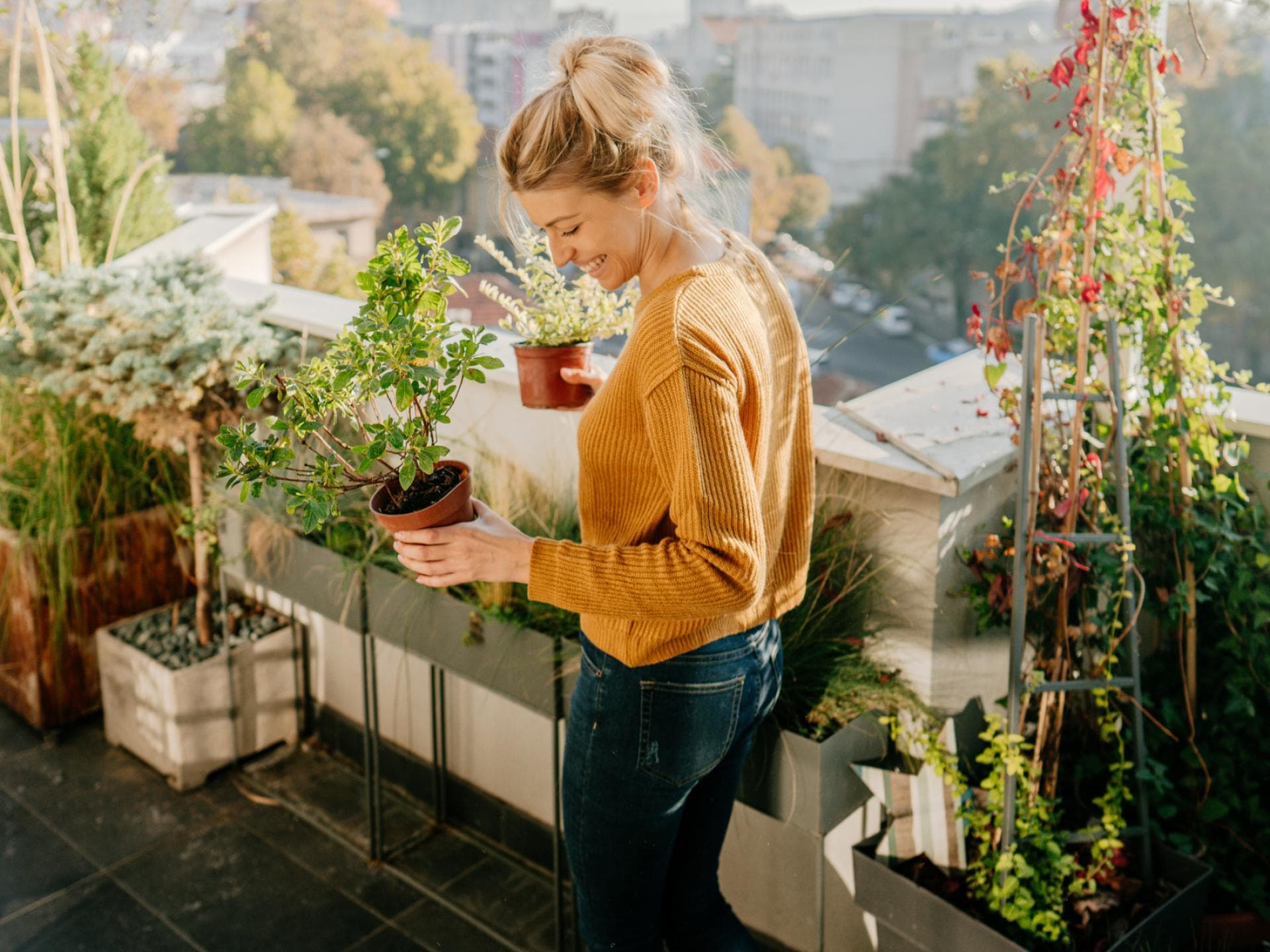 Balkonpflanzen viel Sonne Frau steht auf einem Balkon und hält Pflanzen in der Hand