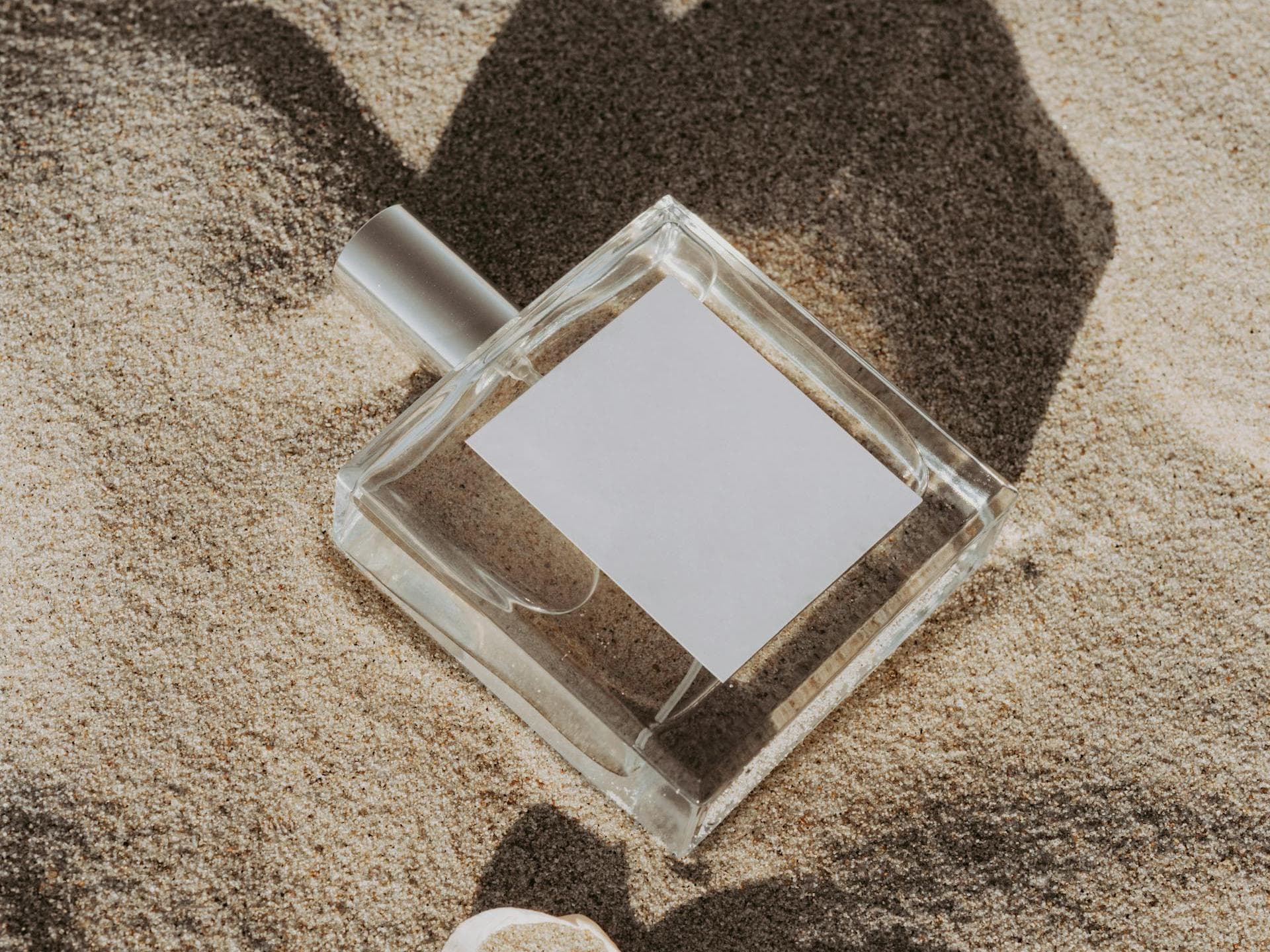 Nicht jedes Parfum eignet sich für den Sommer. Ein Flakon liegt im Sand mit einer Muschel daneben.