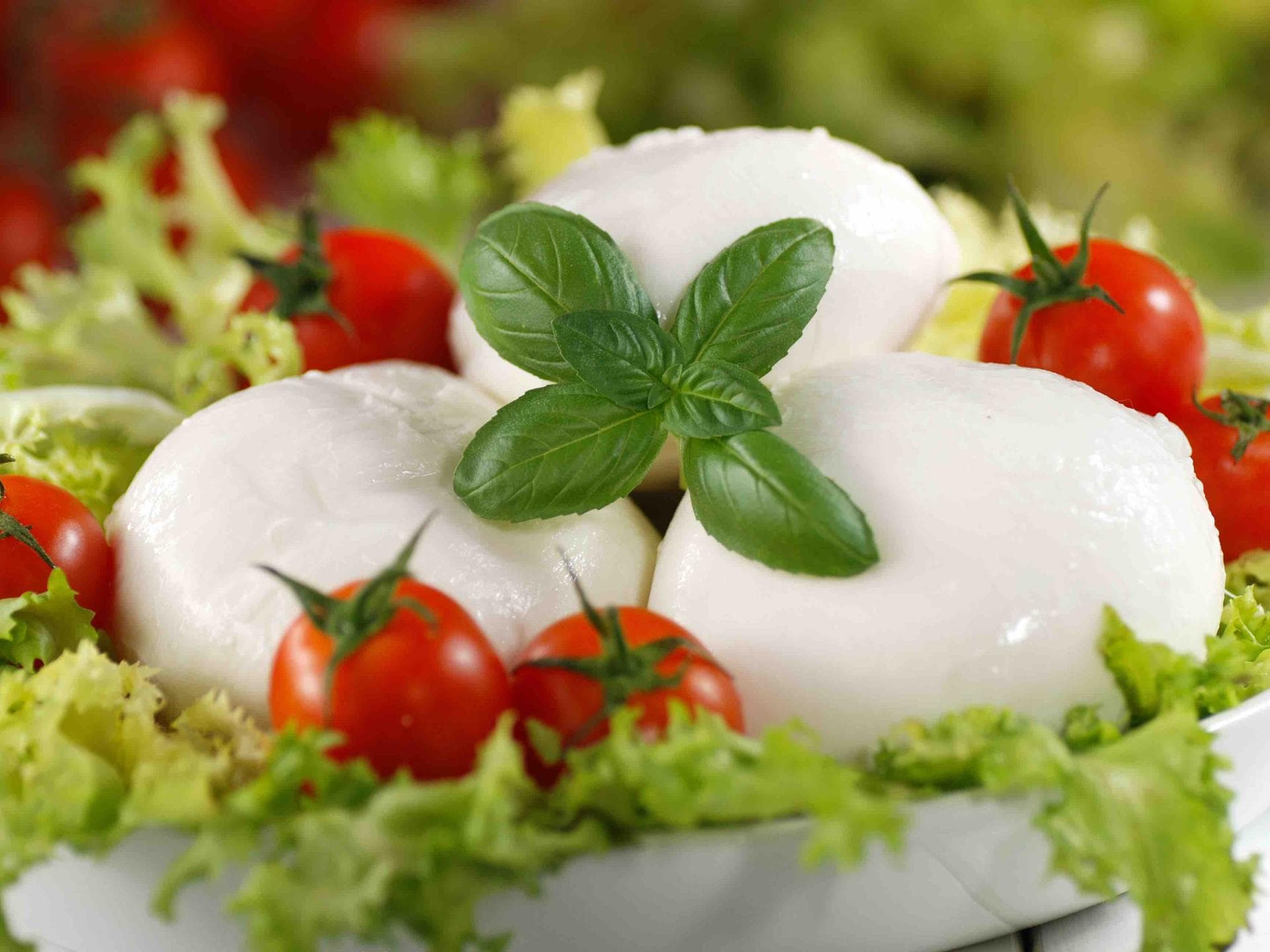 Mozzarella Mozzarella