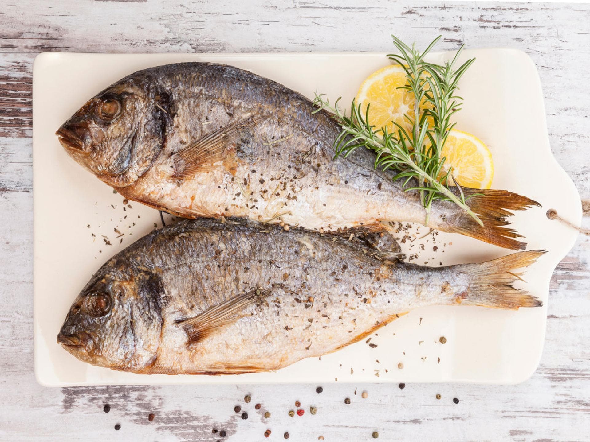 Fisch