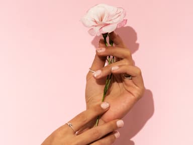 Hände halten eine Rose